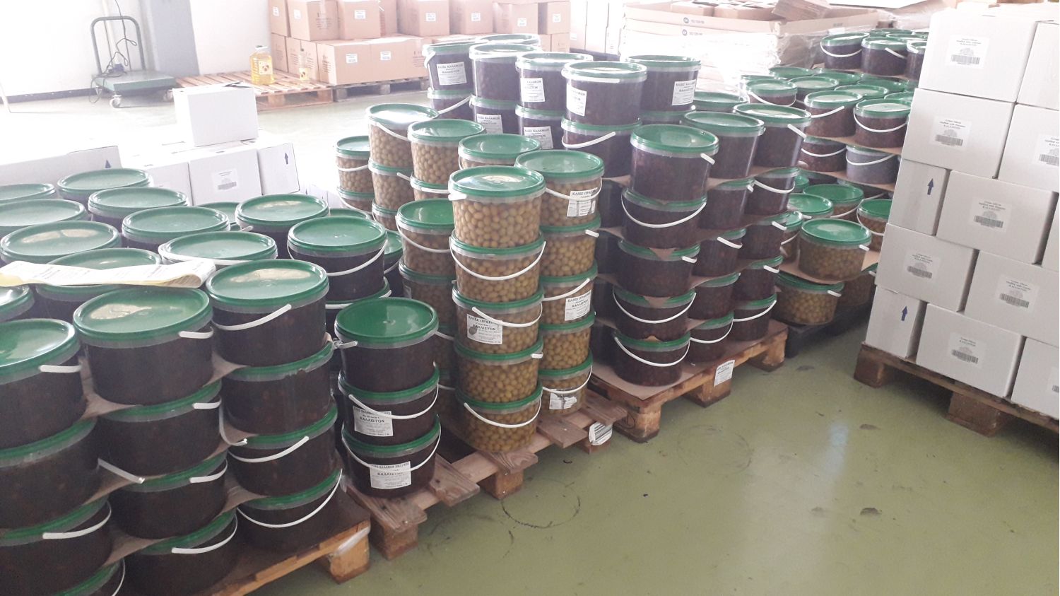 Jumbo Pitted green Olives 5.1 liters - PET Container