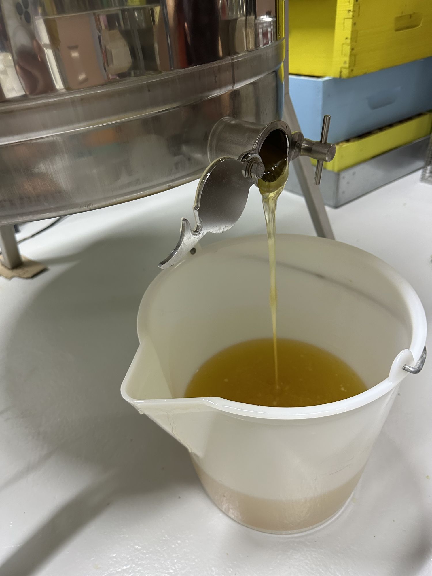 Lavender Honey 500g
