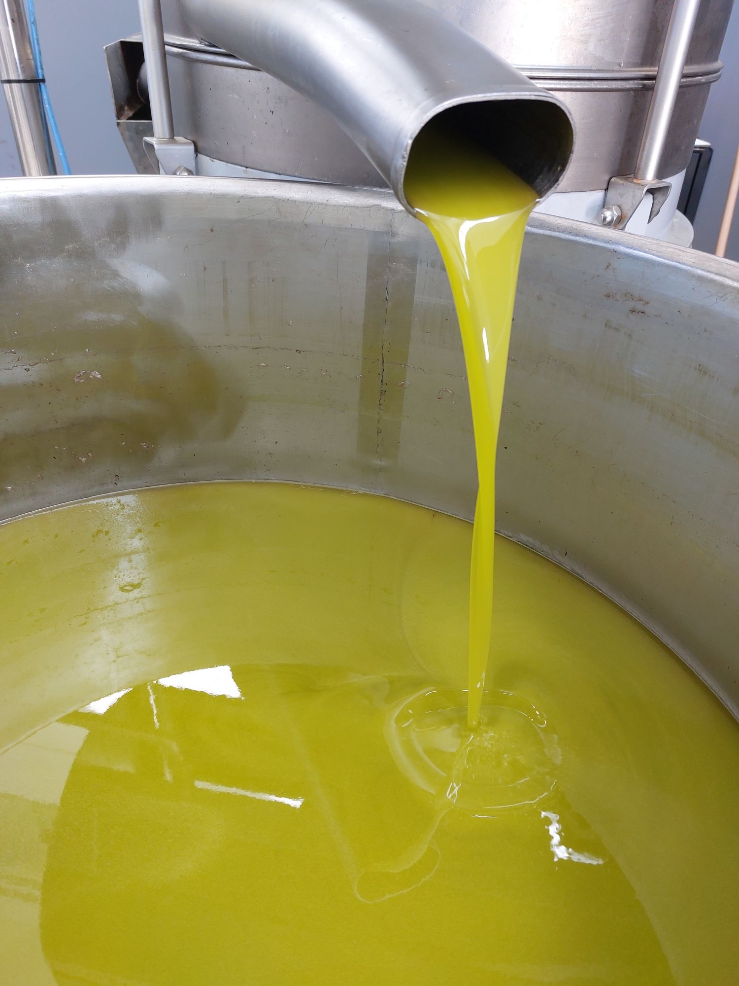 Tenuta la Marchesa oil