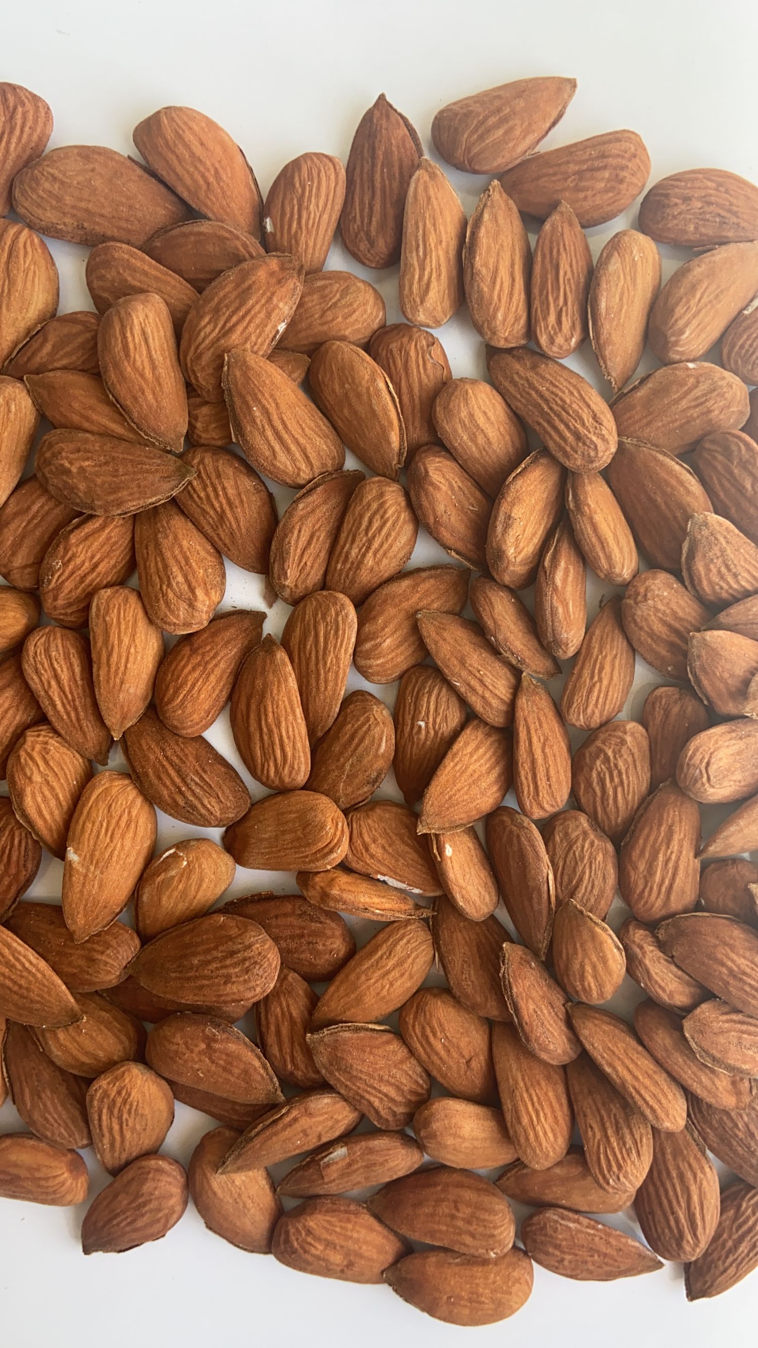 Conventional skin Almond of Spanish origin