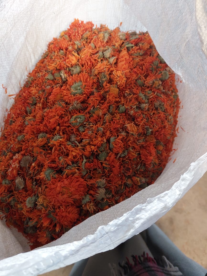 Calendula whole flower