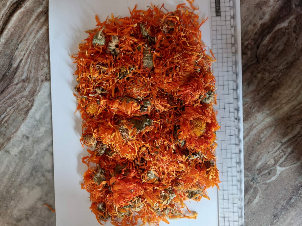 Calendula whole flower