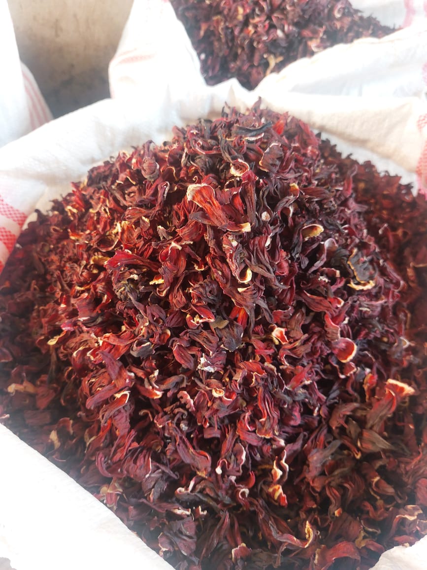 Hibiscus