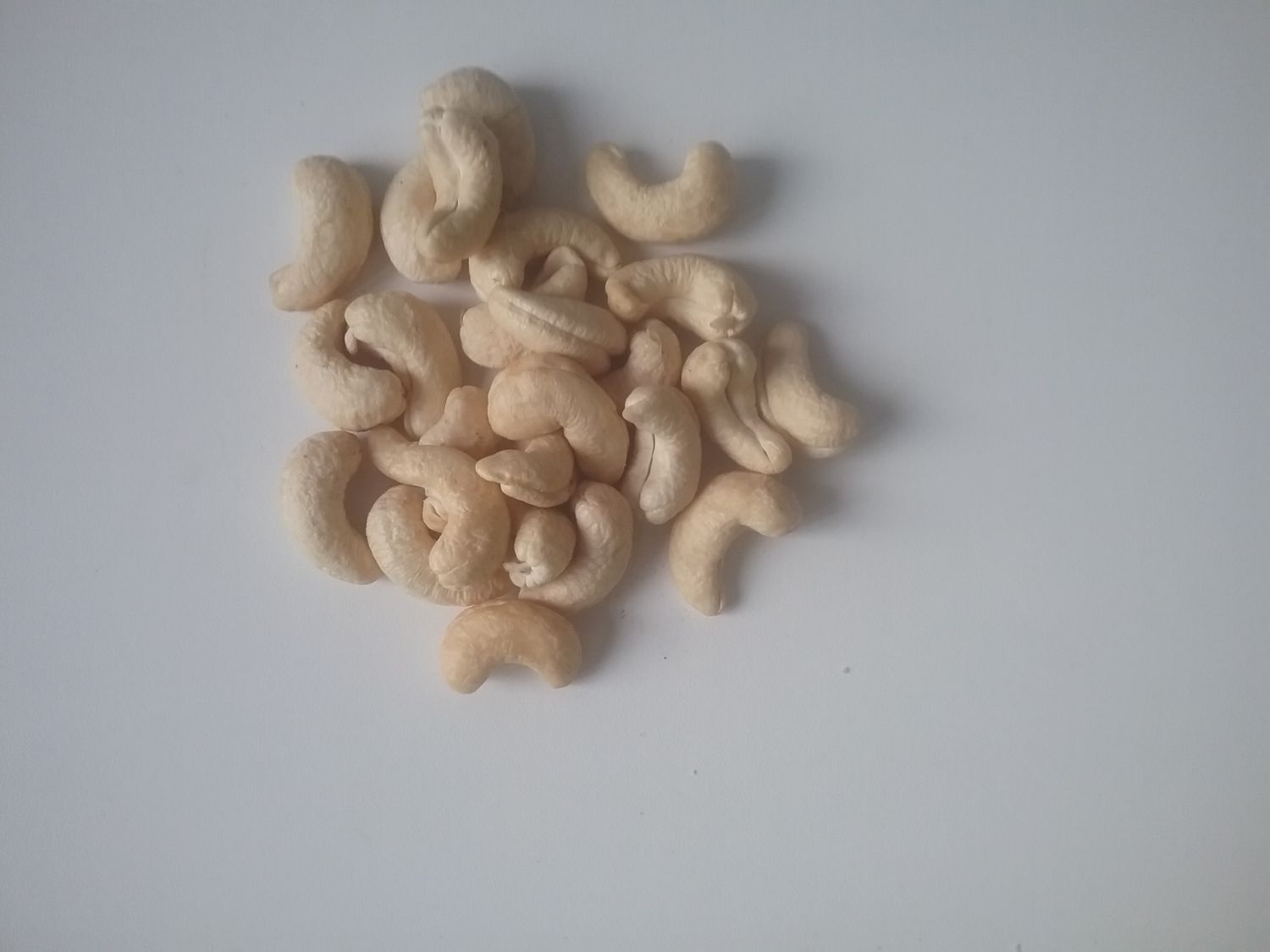 Cashew Nut