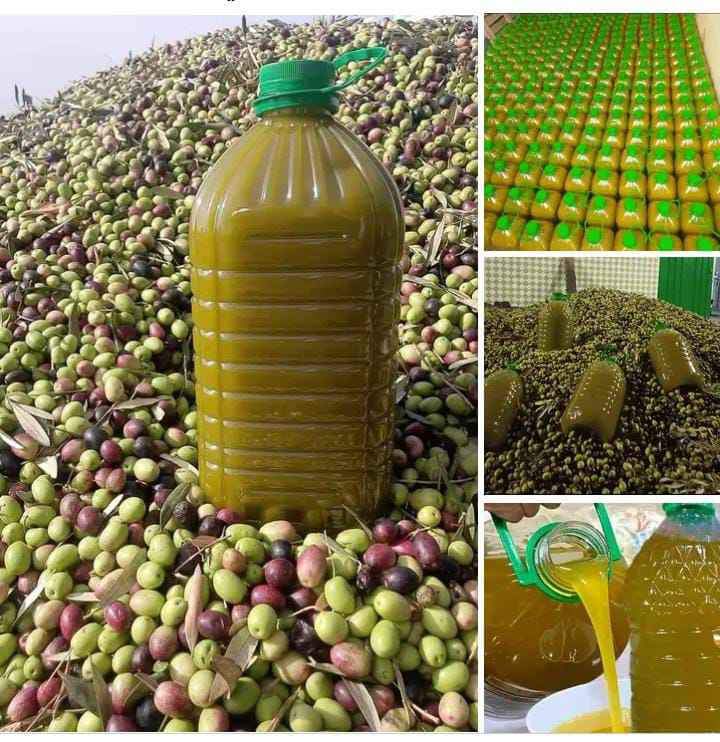 Premium Moroccan Extra Virgin Olive Oil - Cold Pressed, 100% Organic