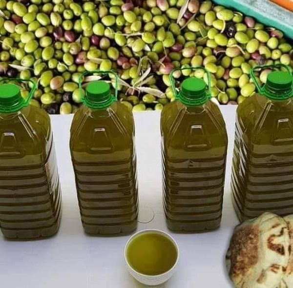 Premium Moroccan Extra Virgin Olive Oil - Cold Pressed, 100% Organic