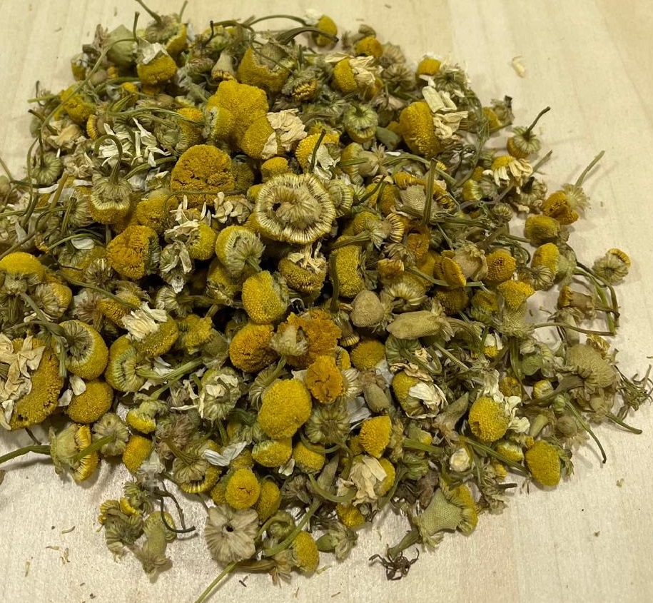 Chamomile flower