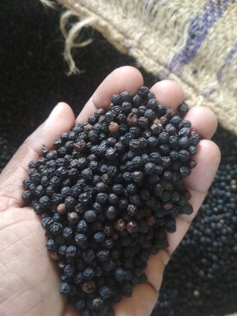 Black pepper