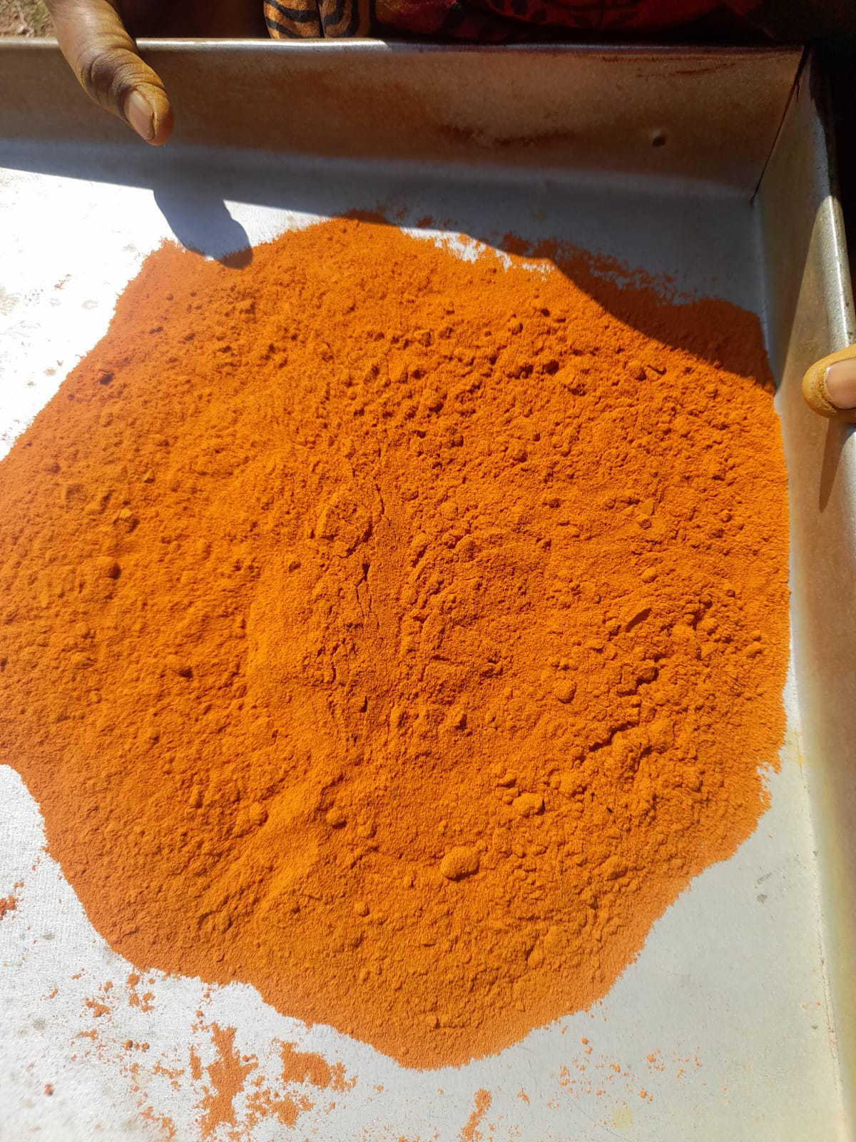 Turmeric (1kg pack)