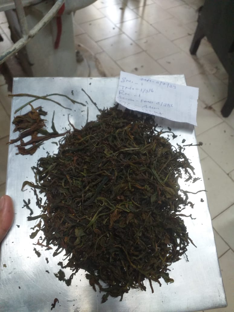Green Tea