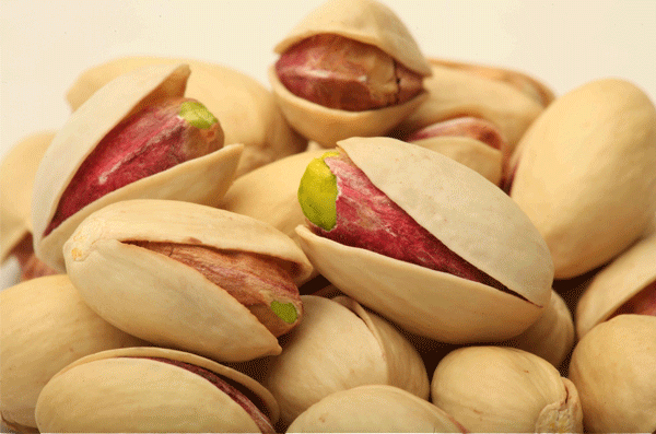 Iranian Pistachio