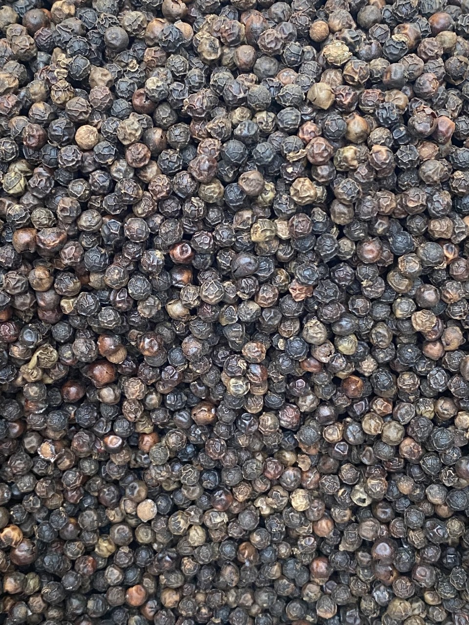 Black pepper