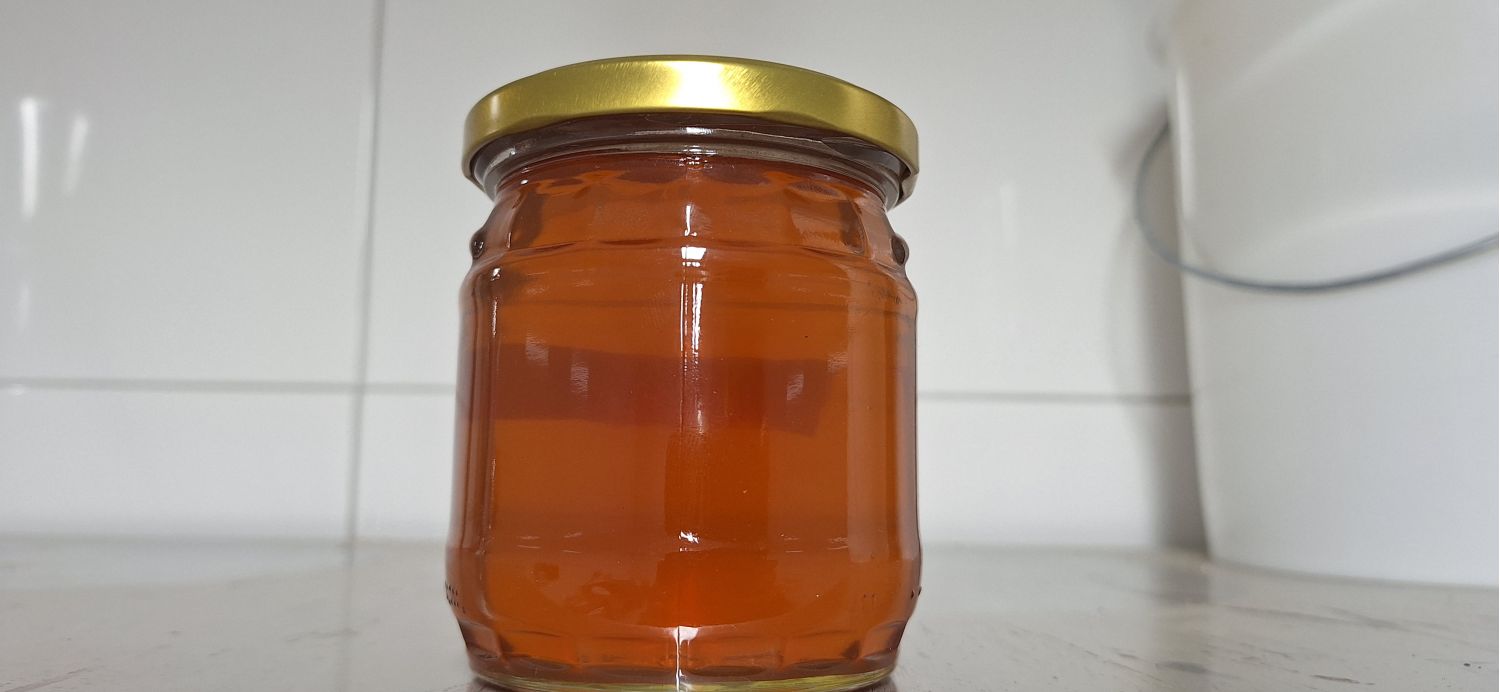 1000g Honey from Milk Thistle