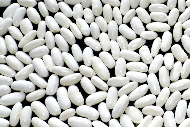 White Alubia Beans price Per Ton