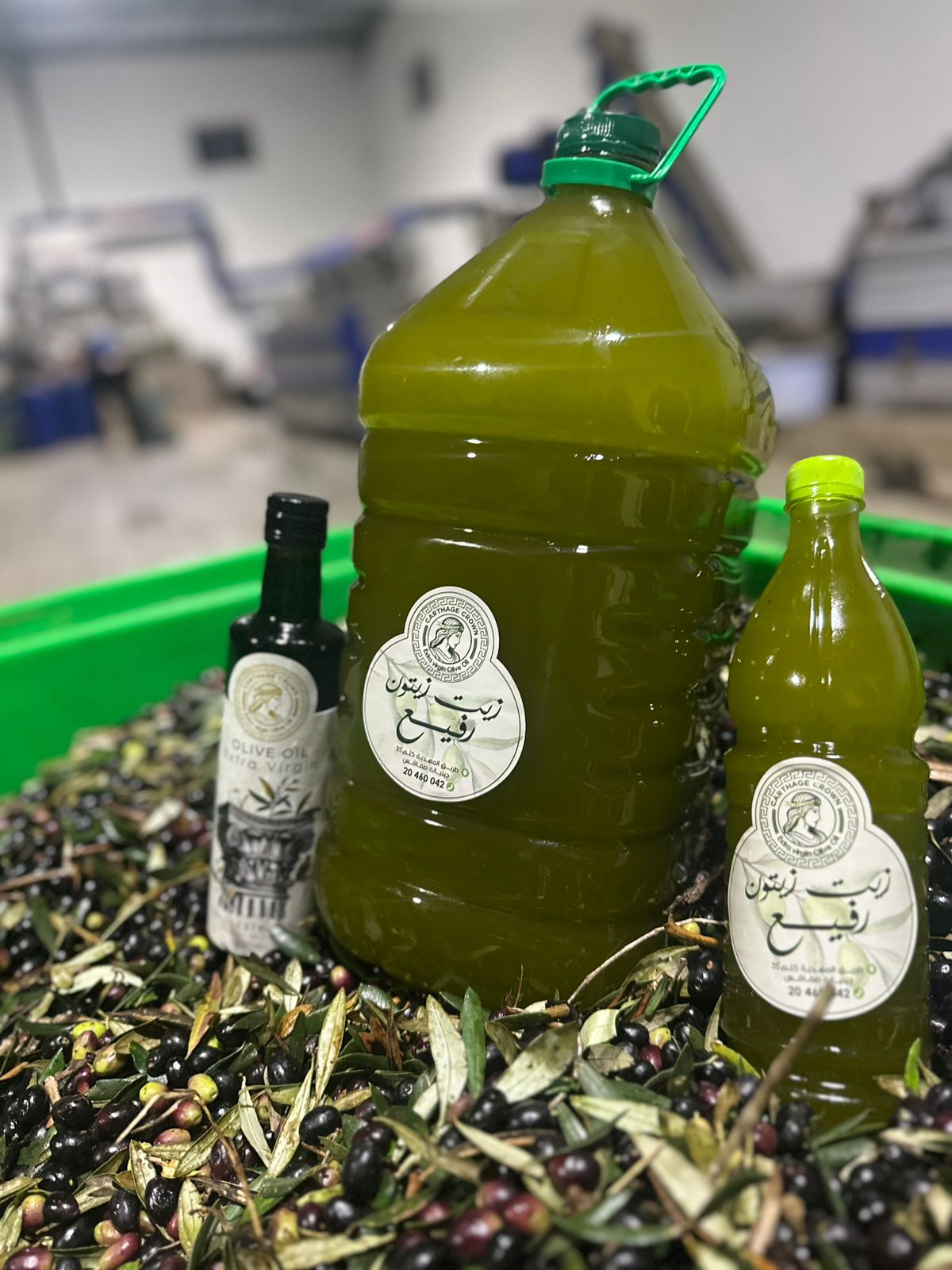 Carthage Crown Olive Oil