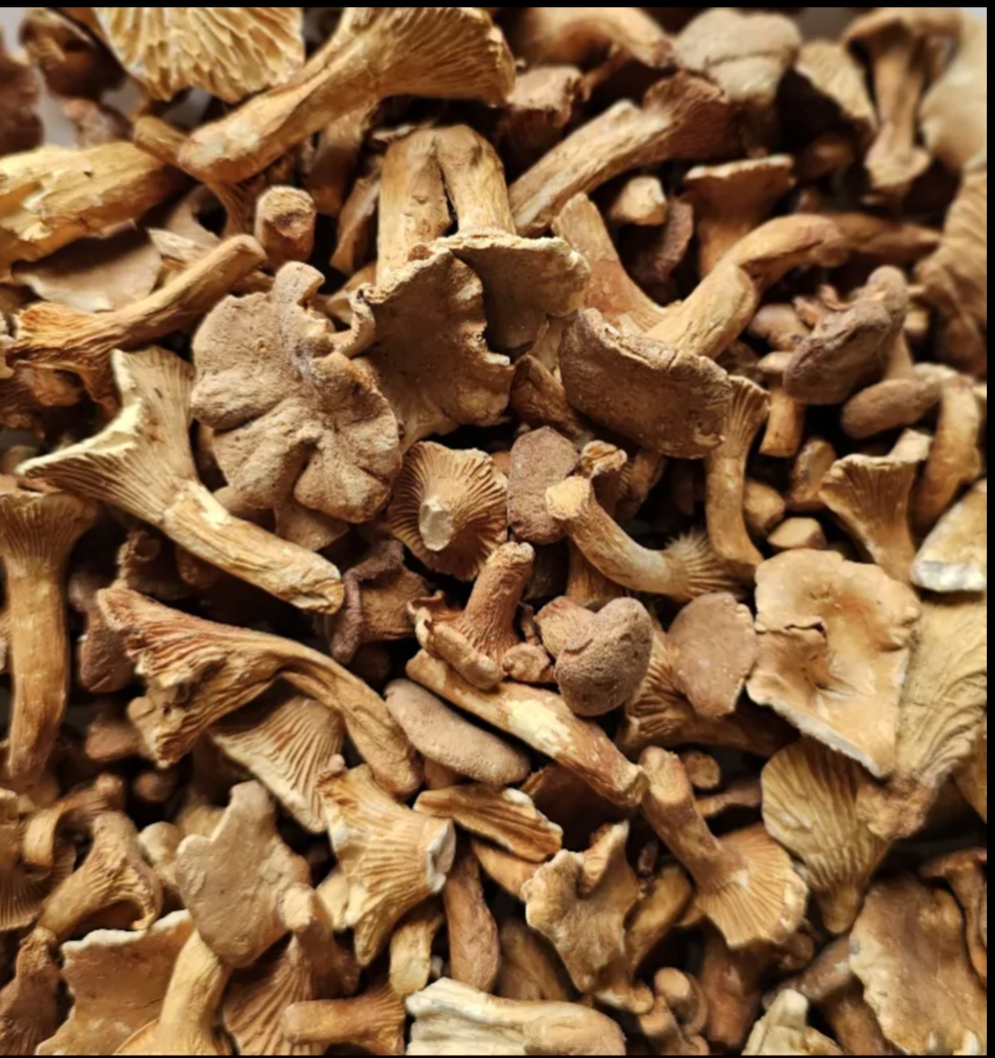 Dried mushrooms