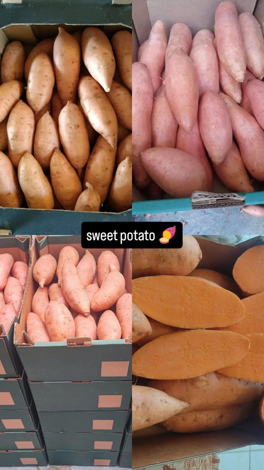 Sweet potatoes