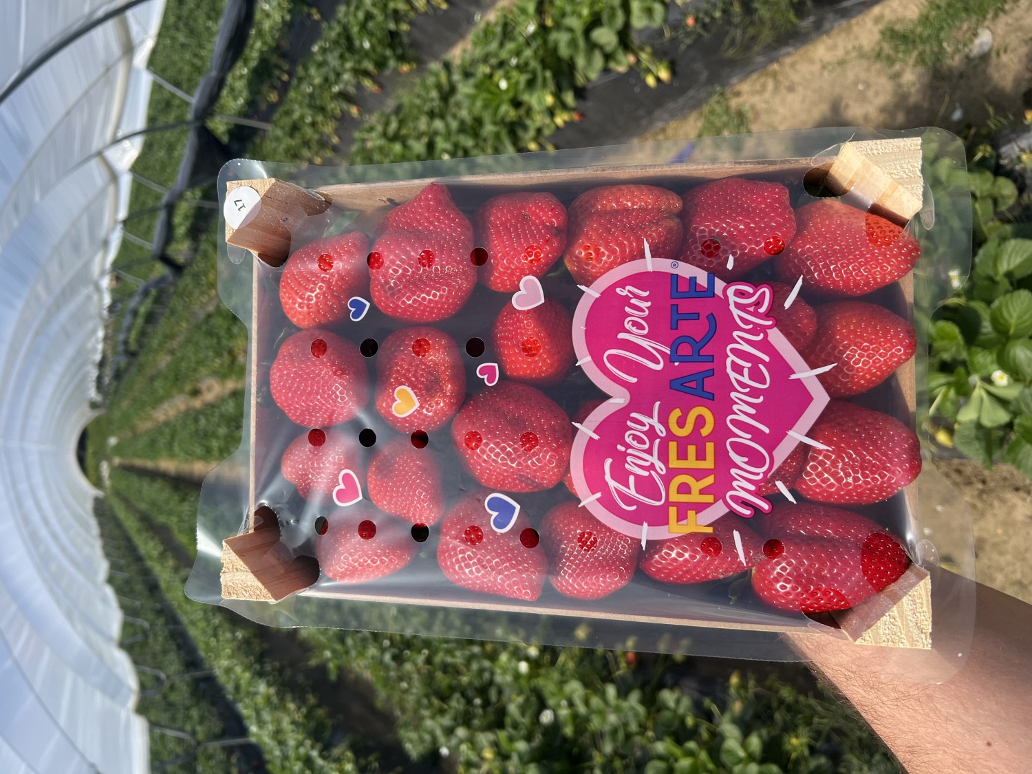 Strawberries