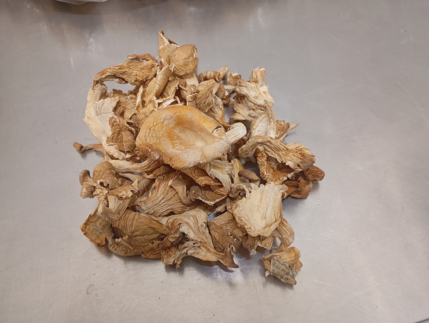 Dried Plevrotous