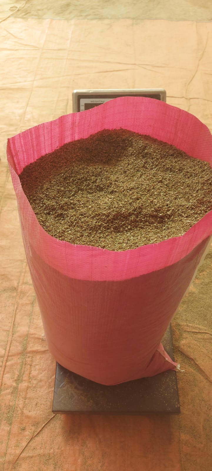 Dried Basil