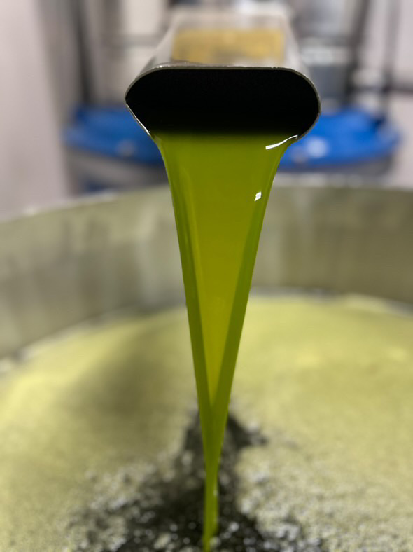 Extra Virgin Olive Oil