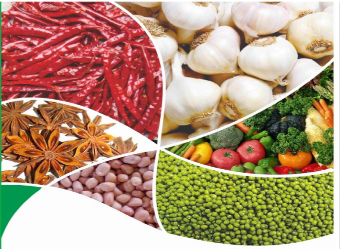 Various Spices, Garlics and Legumes