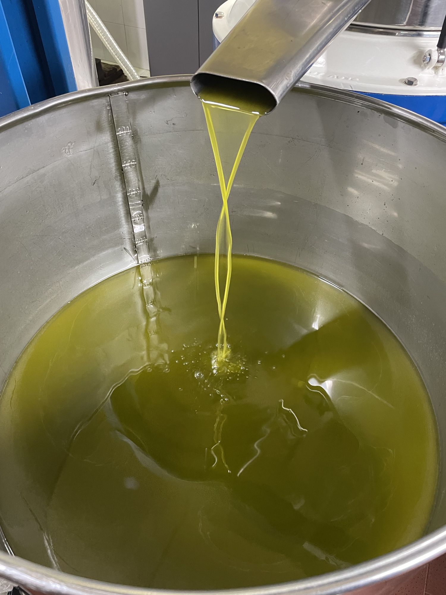 Extra Virgin Olive Oil