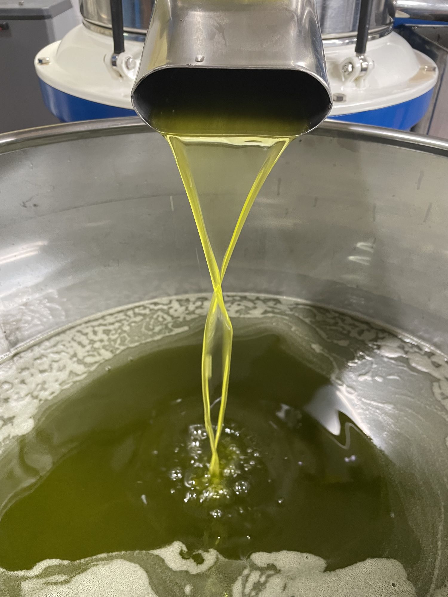 Extra Virgin Olive Oil
