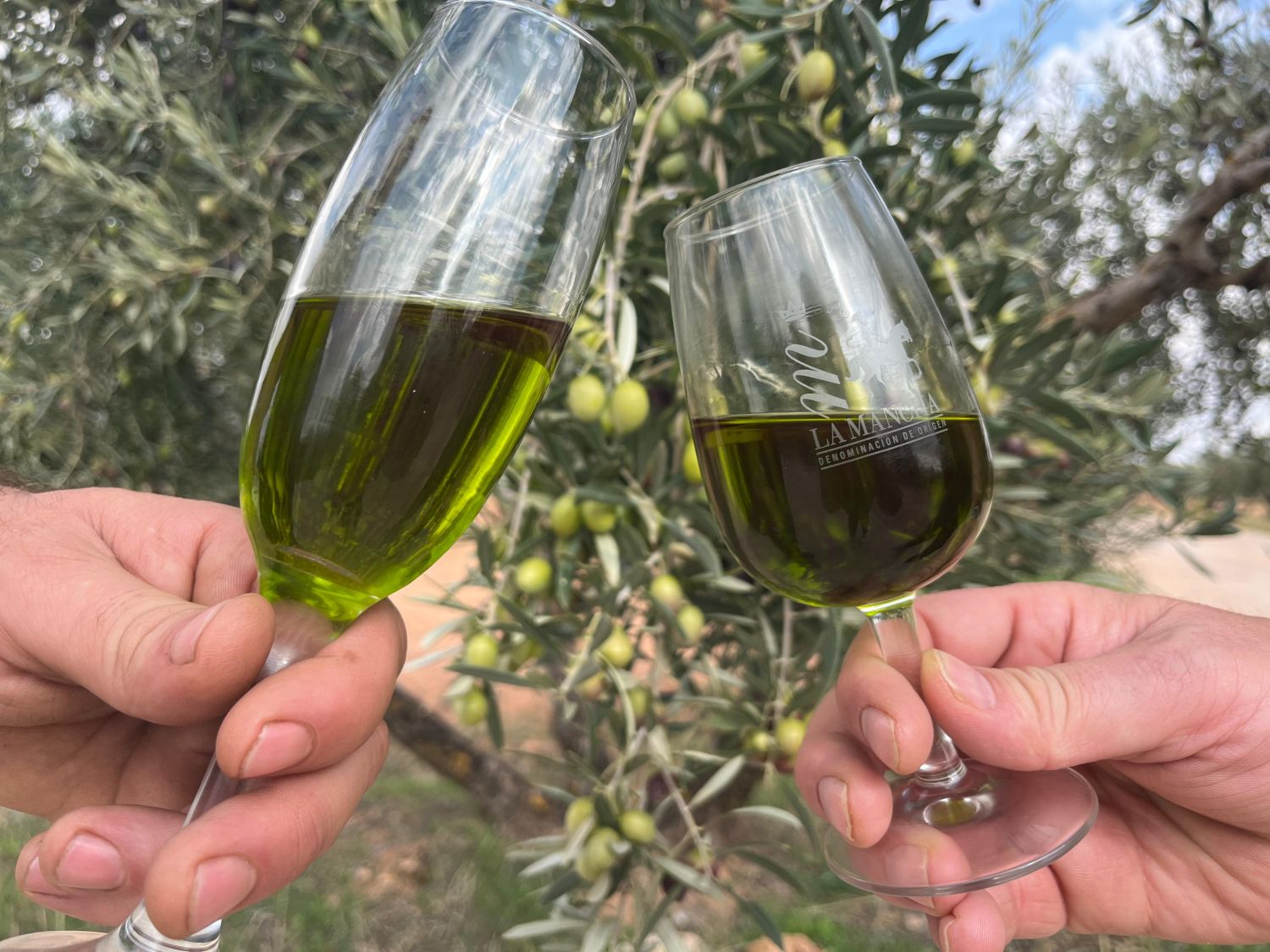 Extra Virgin Olive Oil, Organic - Early Harvest Young Green Magnum - 1.5L glass bottle (Includes wooden case)