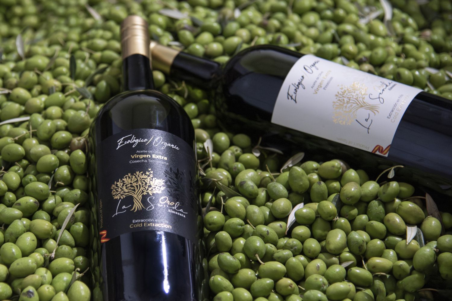 Magnum Premium Extra Virgin Olive Oil , Organic - Early Harvest - 1.5L glass bottle