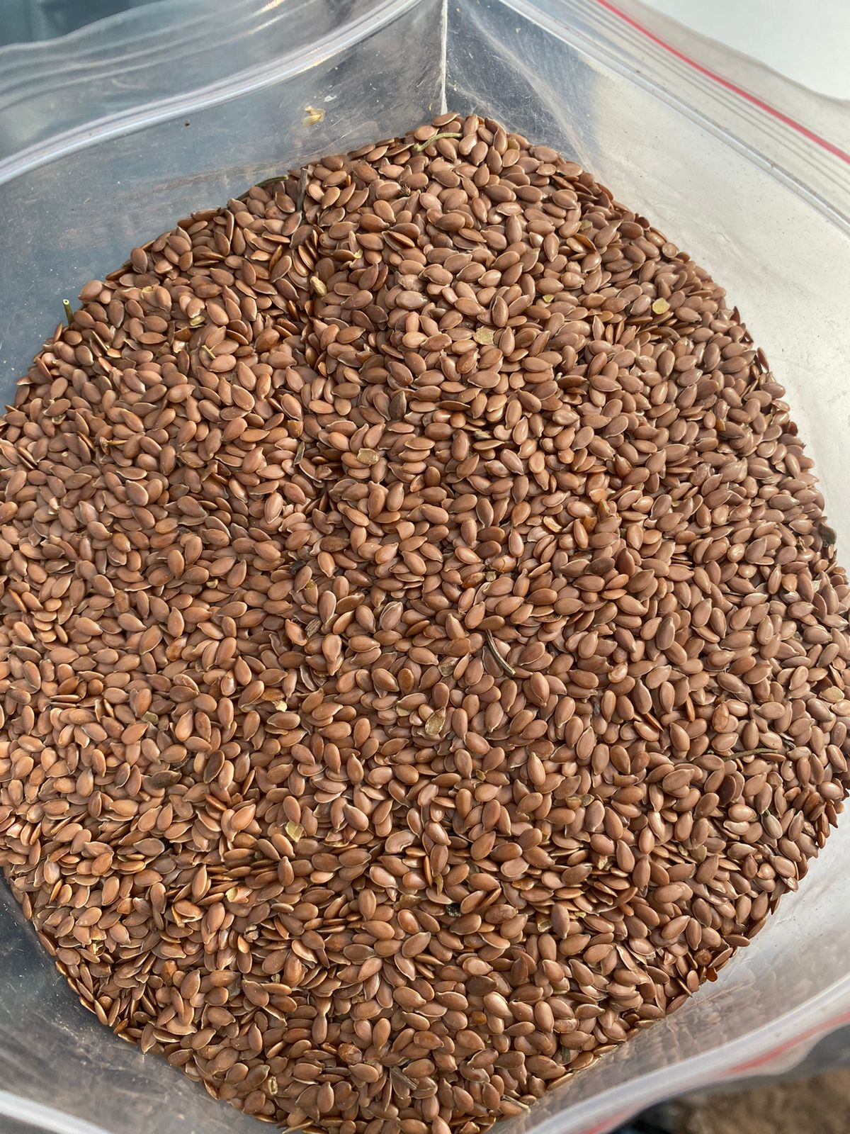 Legumes and Spices
