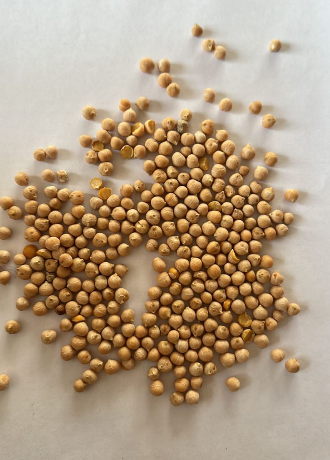 Legumes and Spices