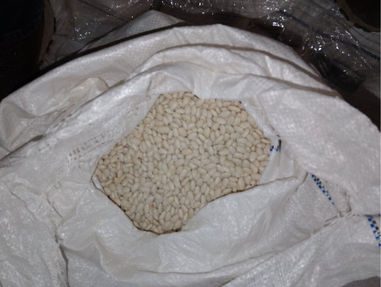 Medium Beans In 25KG Price Per Kg
