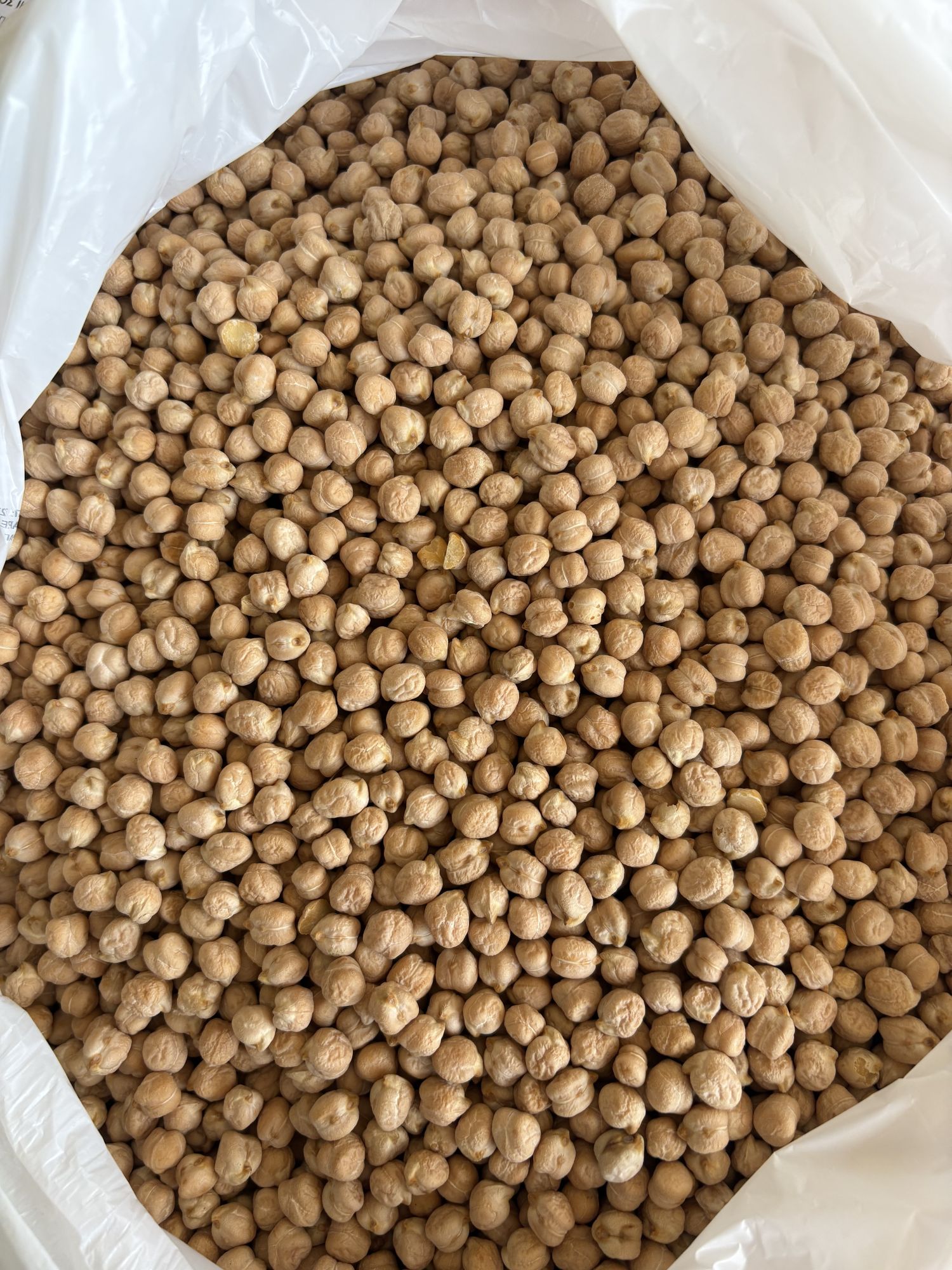 Chickpea Medium In Bags 25KG Price Per Kg