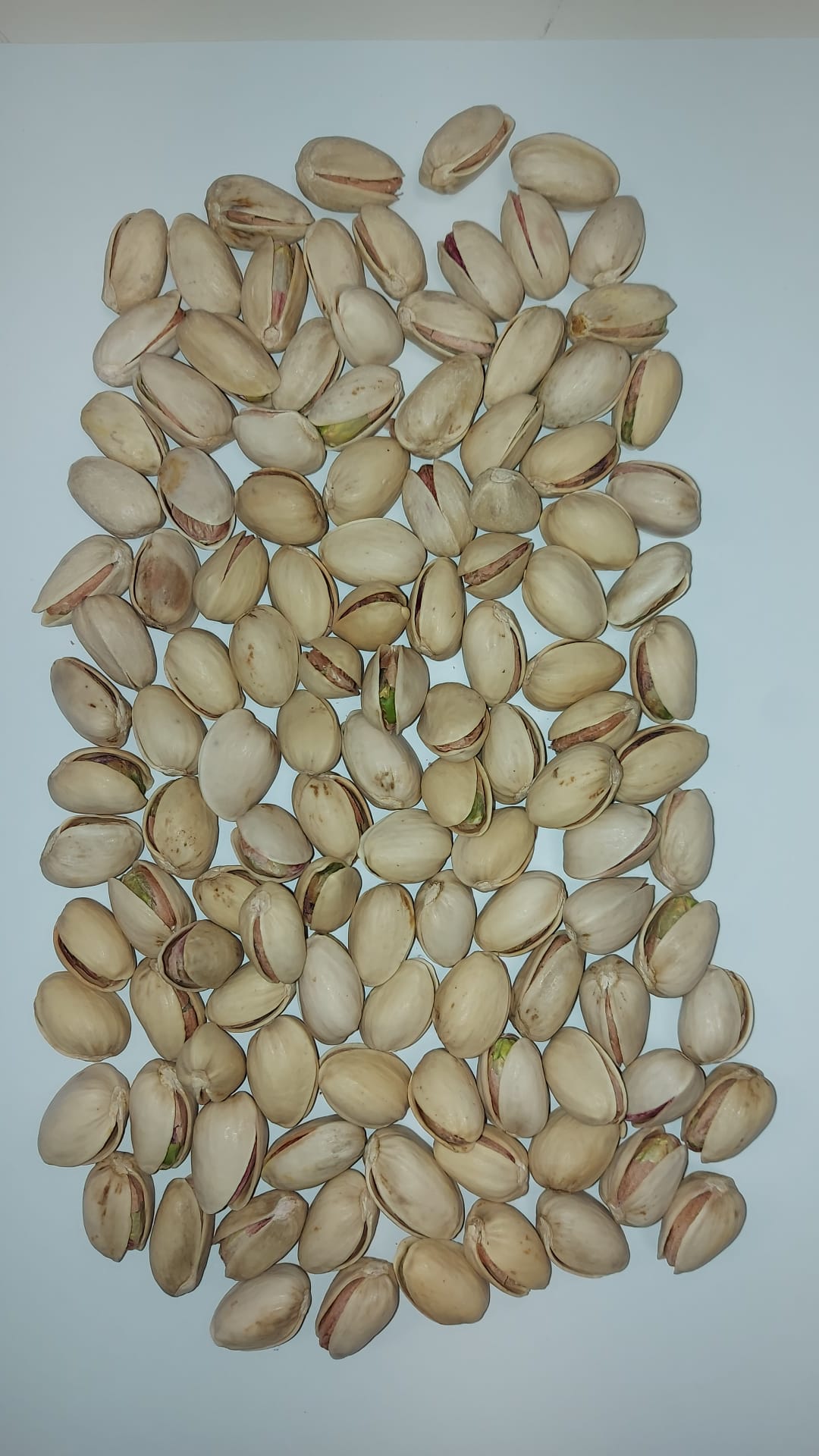 Pistachio in shell - naturally open - Cal 20/22 - price per Kg