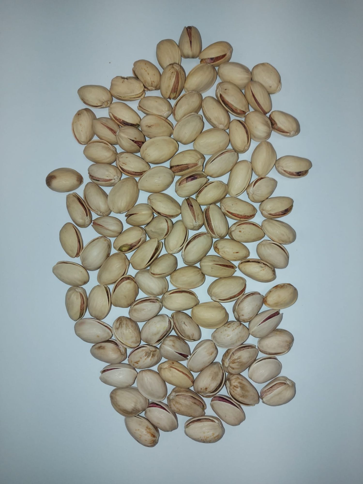 Pistachio in shell - naturally open - Cal 23/25 - price per Kg