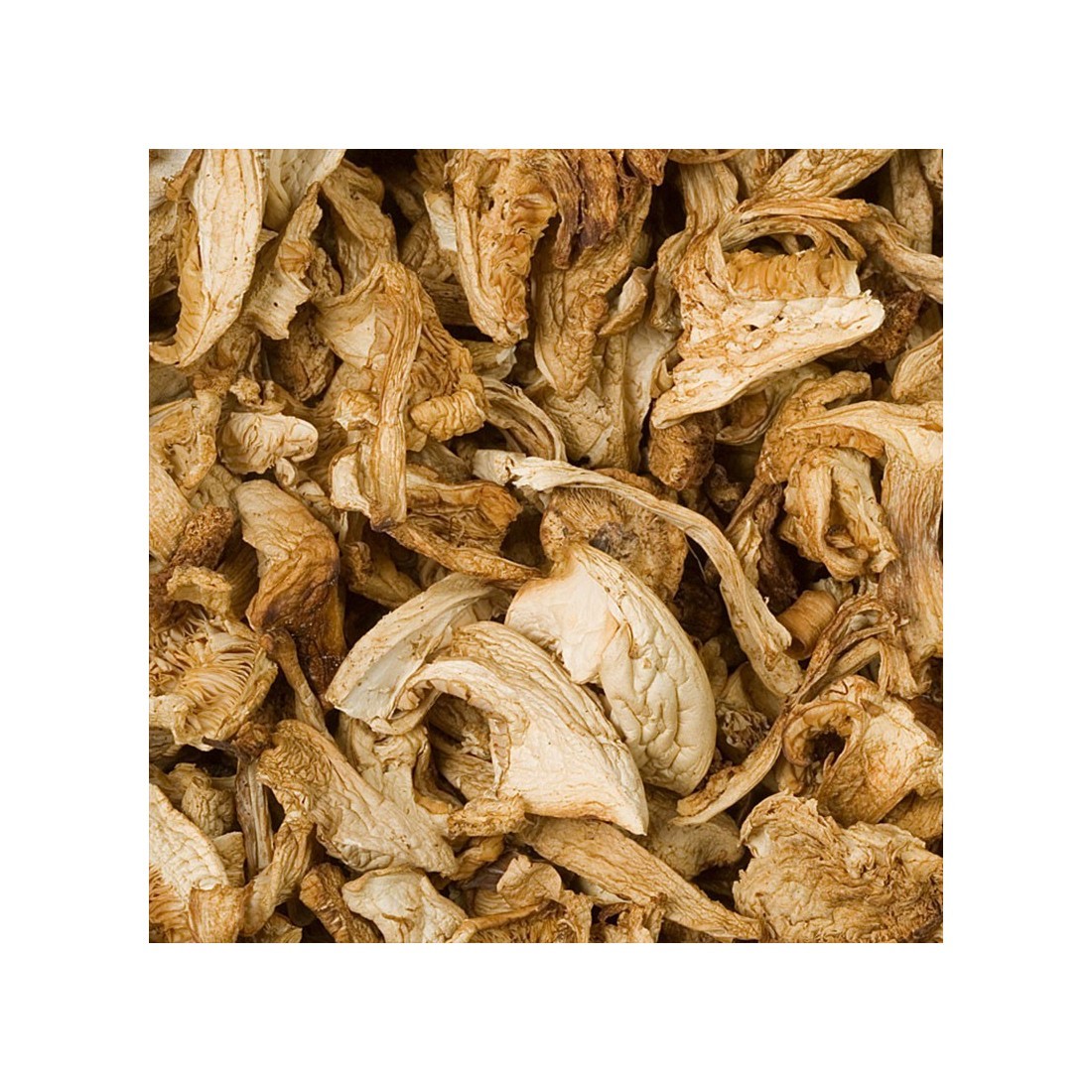 Dried Perrechico mushrooms - in bulk