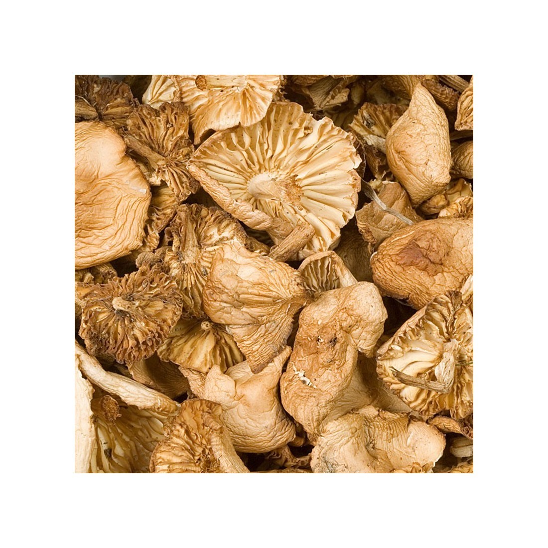 Dried fairy ring mushrooms - in bulk