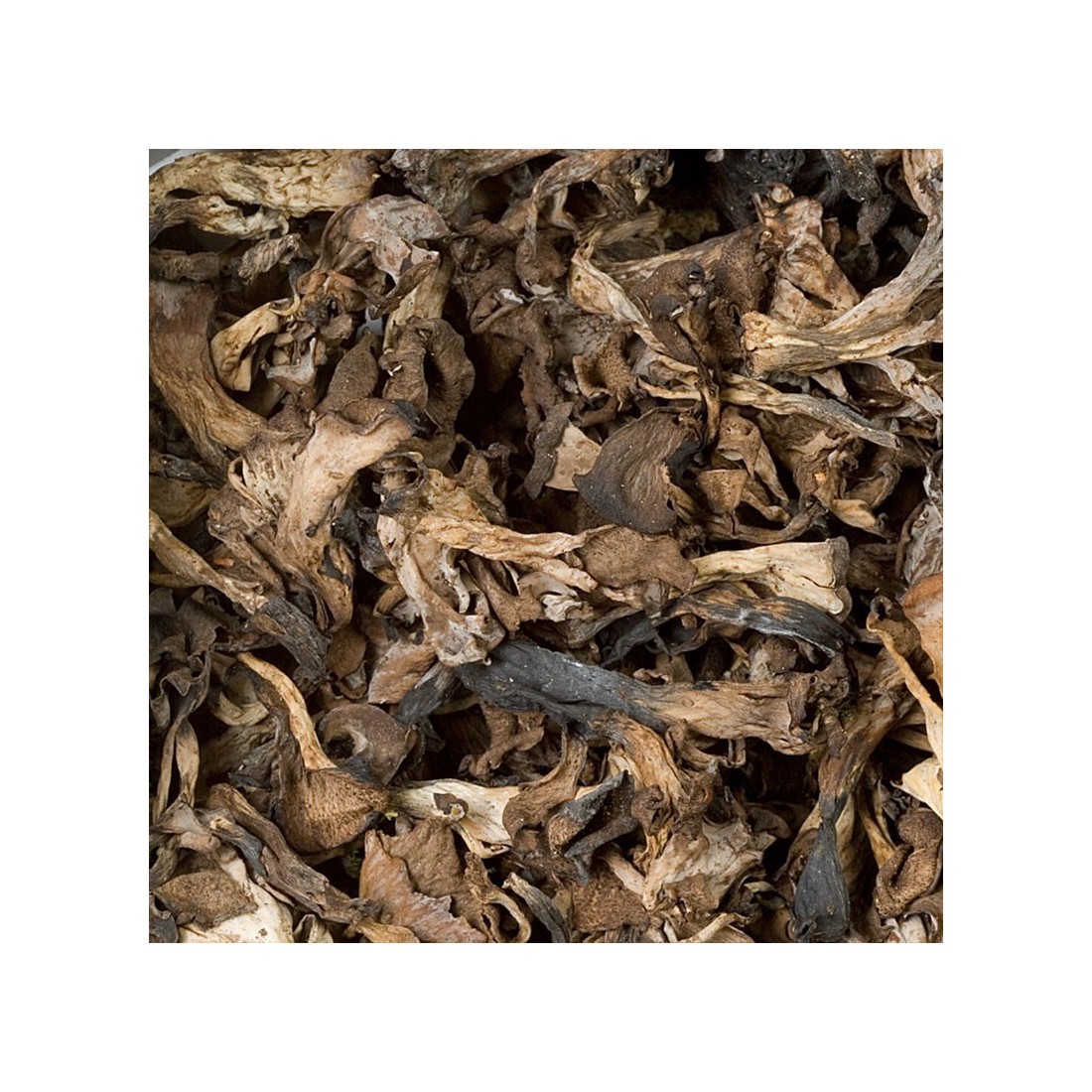 Dried black trumpet mushrooms - in bulk