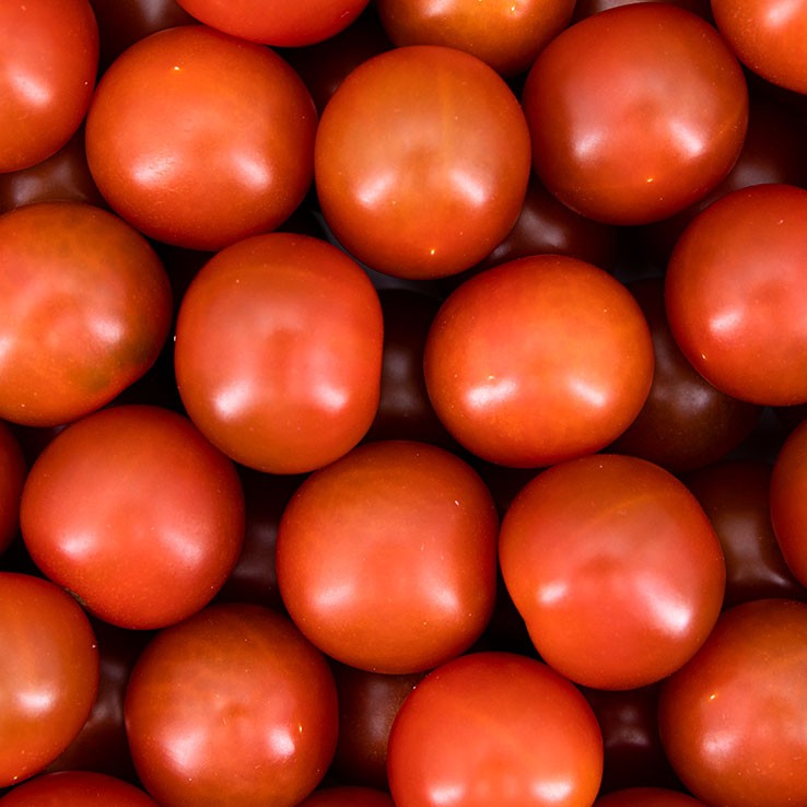 Cherry Tomatoes Loose Box 3kg