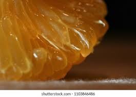 Orange Cells