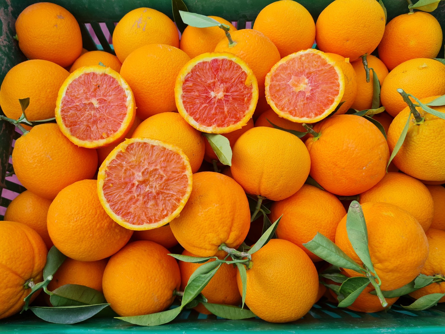 Oranges Class I Plastic box (disposable) 17kg