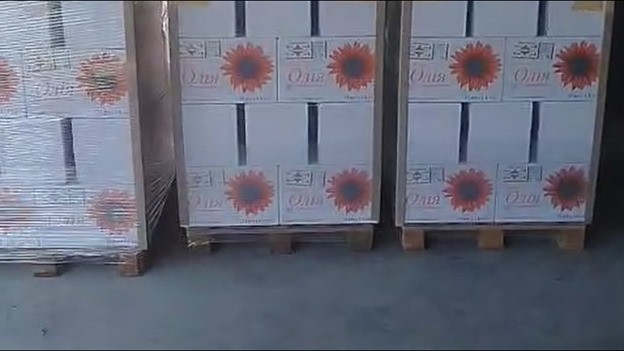 Sunflower Oil 5l PET Ukraine