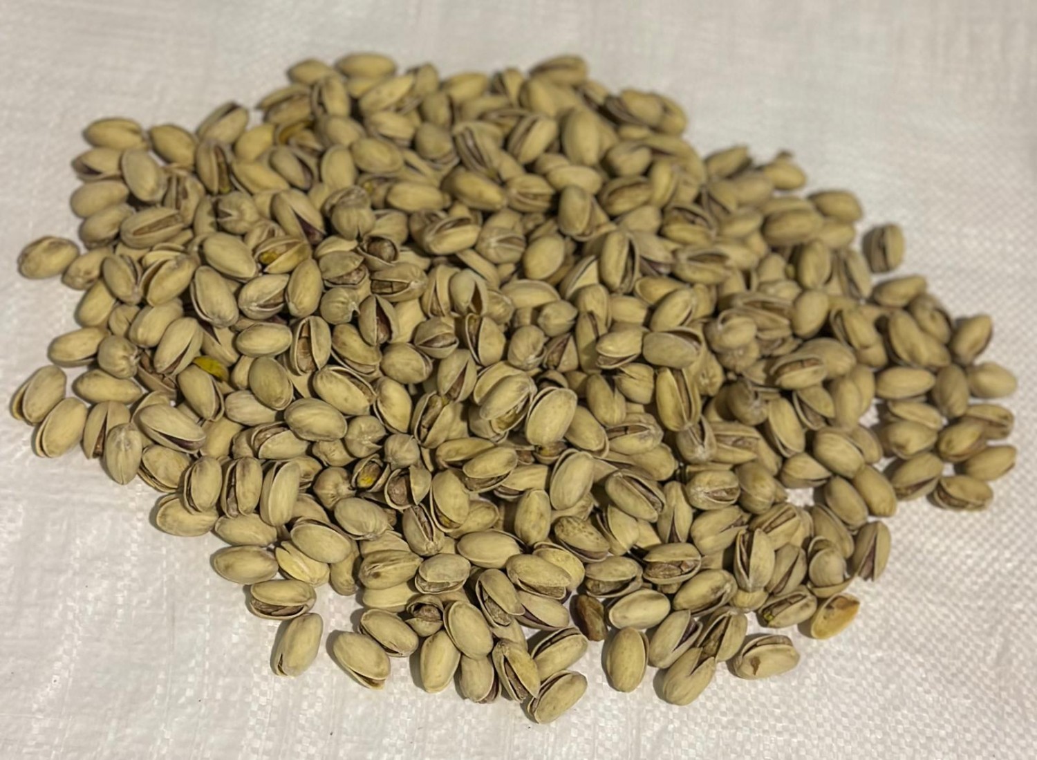 Organic Shell Pistachios 18/22 Raw