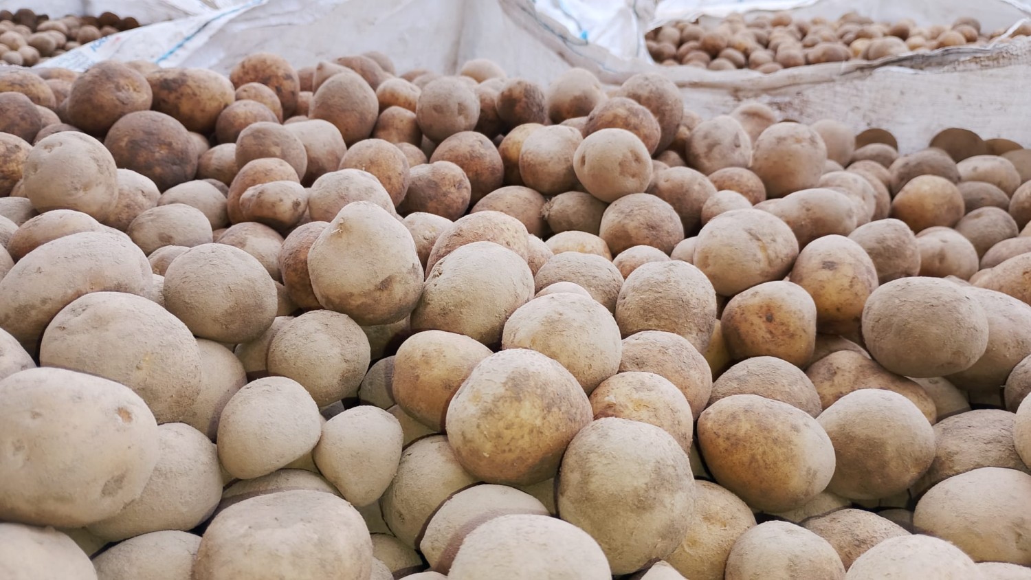 Other Potatoes Extra Class Sack 10kg