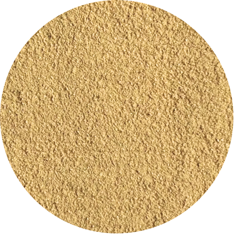 Organic Ginger - 3% Essential Oil - Premium Range