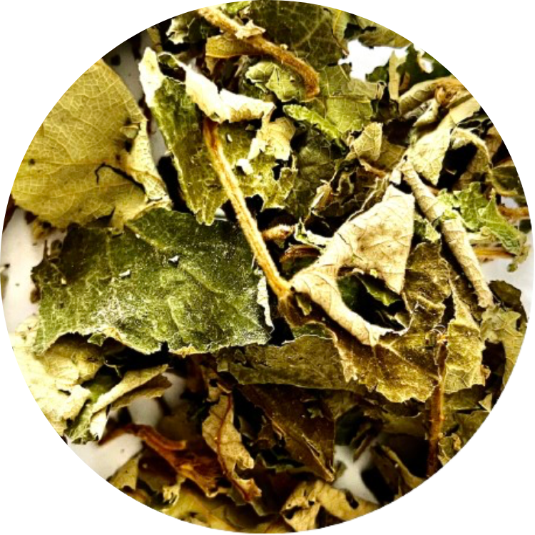 Wild Raspberry Leaf - Organic Botanical for Tea Infusion