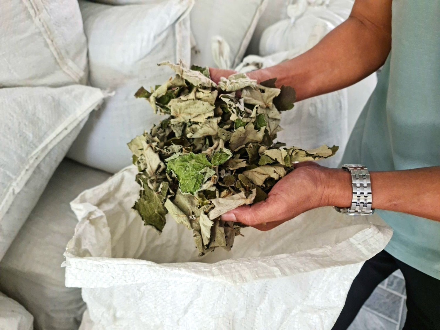 Wild Raspberry Leaf - Organic Botanical for Tea Infusion