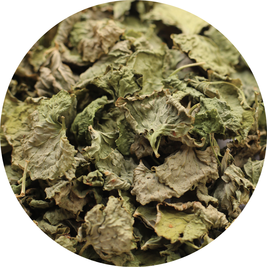 Organic Gotu Kola Leaf