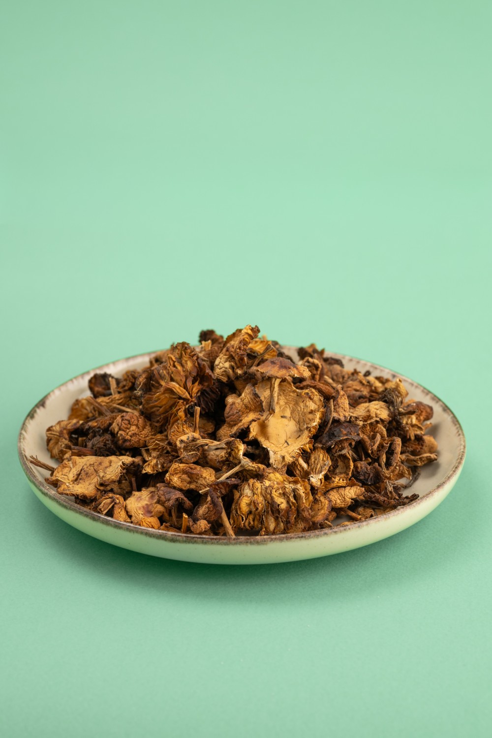 Dried Marasmius Mushrooms in Bulk